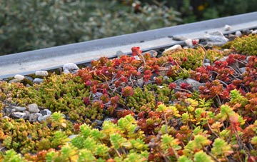 the cost of Firth Park green roof installation