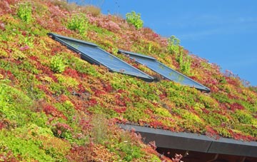 Firth Park living roof systems